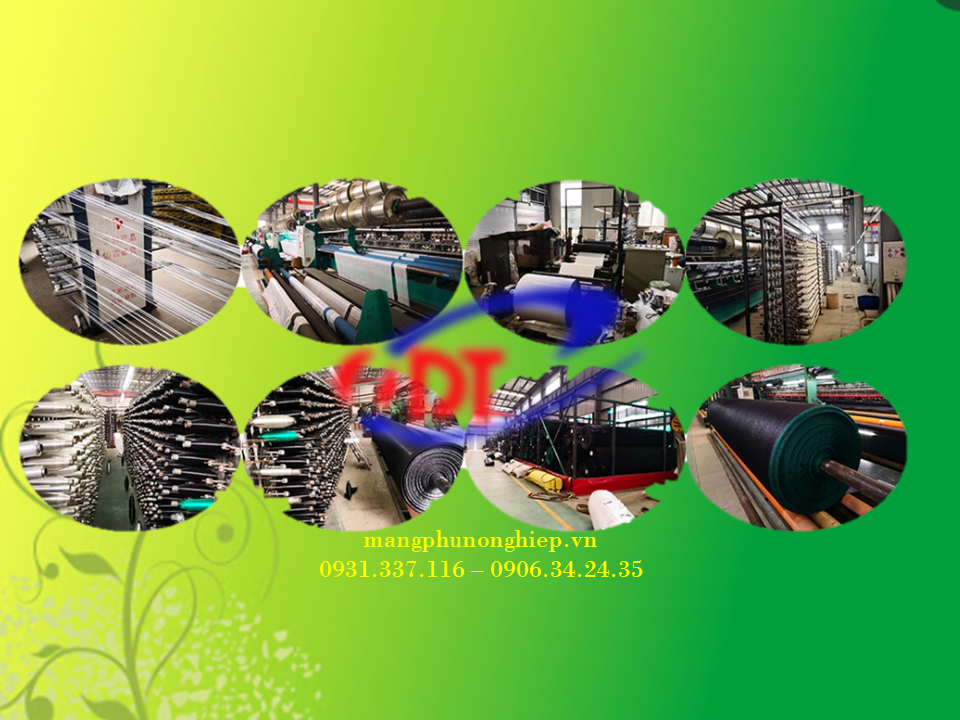 Giới thiệu nhà máy sản xuất đinh ghim MPNN tại Việt Nam